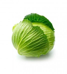 Cabbage Vegetable