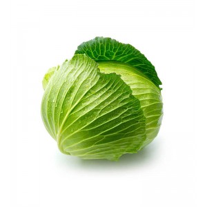 Cabbage Vegetable